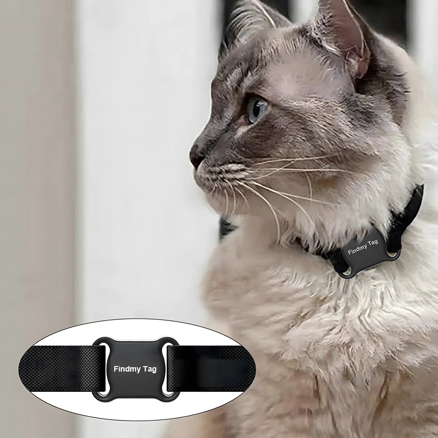 Smart Anti-Lost Waterproof Pet Tracker