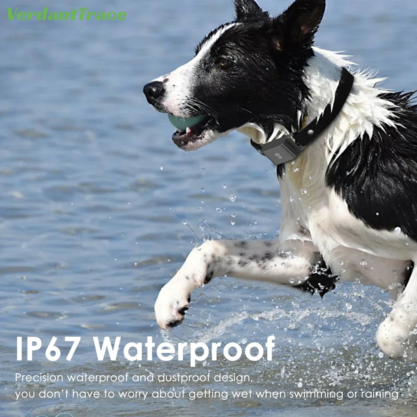 IP67 Waterproof 4G GPS Pet Tracker Collar