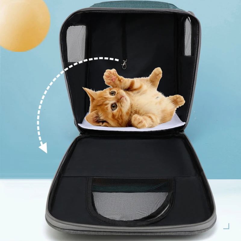 Three-Sided Breathable Cat Carrier Backpack