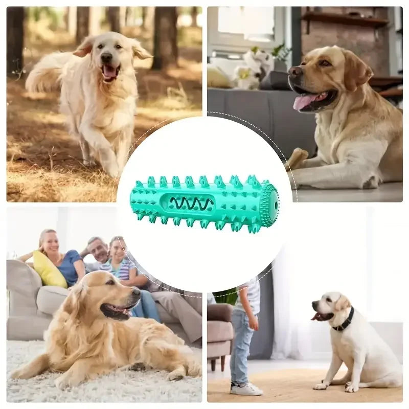 Vet-Approved Dental Chew Stick – 3-in-1 Toothbrush Toy