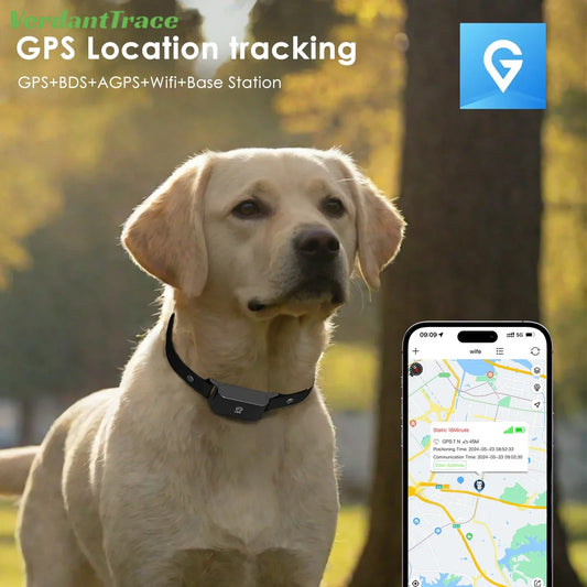 IP67 Waterproof 4G GPS Pet Tracker Collar