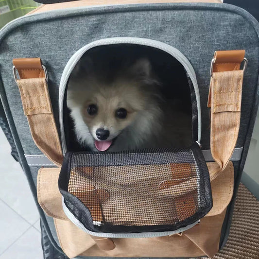Three-Sided Breathable Cat Carrier Backpack