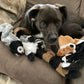 Funny Simulated Animal Stuffing-Free Squeaky Dog Toy