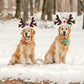 Christmas Decoration Pet Headwear Party Dress Up Antlers Hair Hoops Pet Supplies Christmas Hat Headbands Dog Elk Hair Hoops