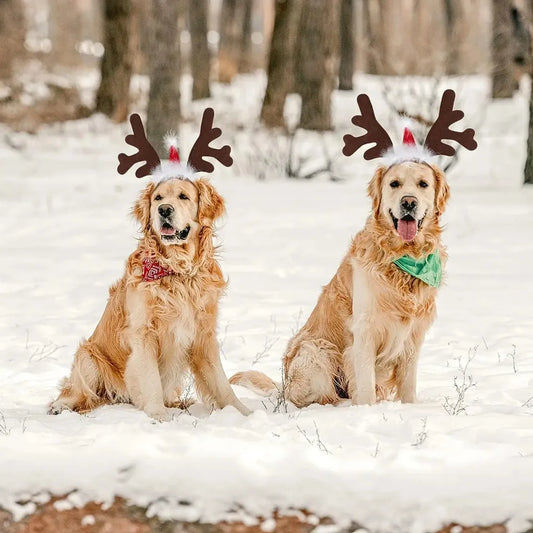 Christmas Decoration Pet Headwear Party Dress Up Antlers Hair Hoops Pet Supplies Christmas Hat Headbands Dog Elk Hair Hoops