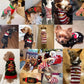 Christmas Warm Clothes for Dogs Small Medium Large Dog Winter Sweater Pet Clothing Knitted Coat Cartoon Striped Big Dog Clothes