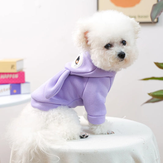 Purple Rabbit Three-dimensional Ears Pullover Sweater Pet Clothes Dog Cat Clothing Cute Cartoon Pullover